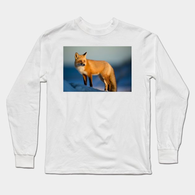 For Fox Sake Long Sleeve T-Shirt by BrazoocaArt